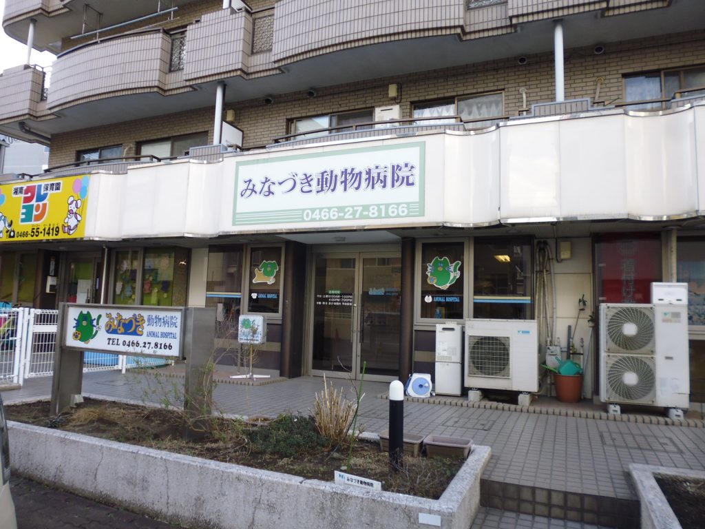 みなづき動物病院 わが住むまち湘南村岡